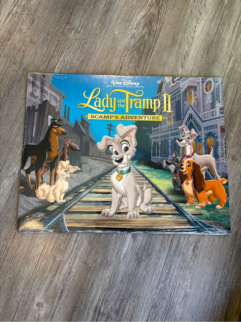 Disney Lady and the Tramp II
EXCLUSIVE DISNEY LITHOGRAPH PORTFOLIO
Never opened
